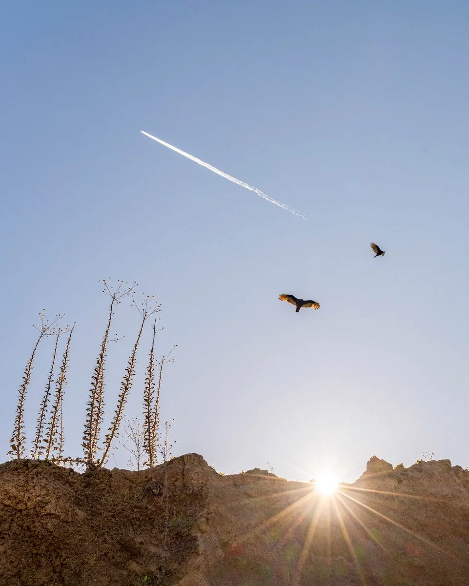 Out Here 10 c&b-14.jpeg