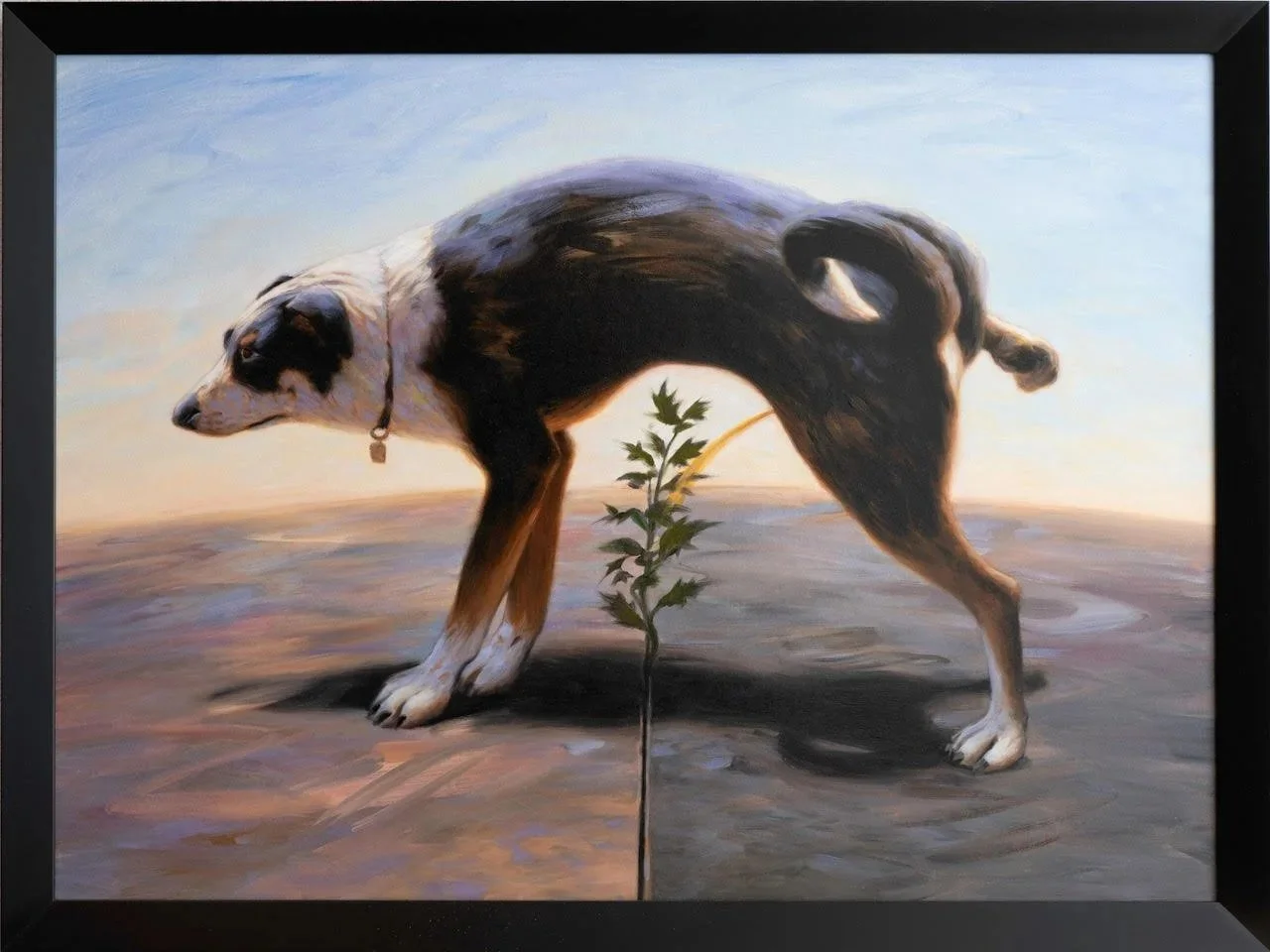 Border Dog, 2007, 22 x 30"