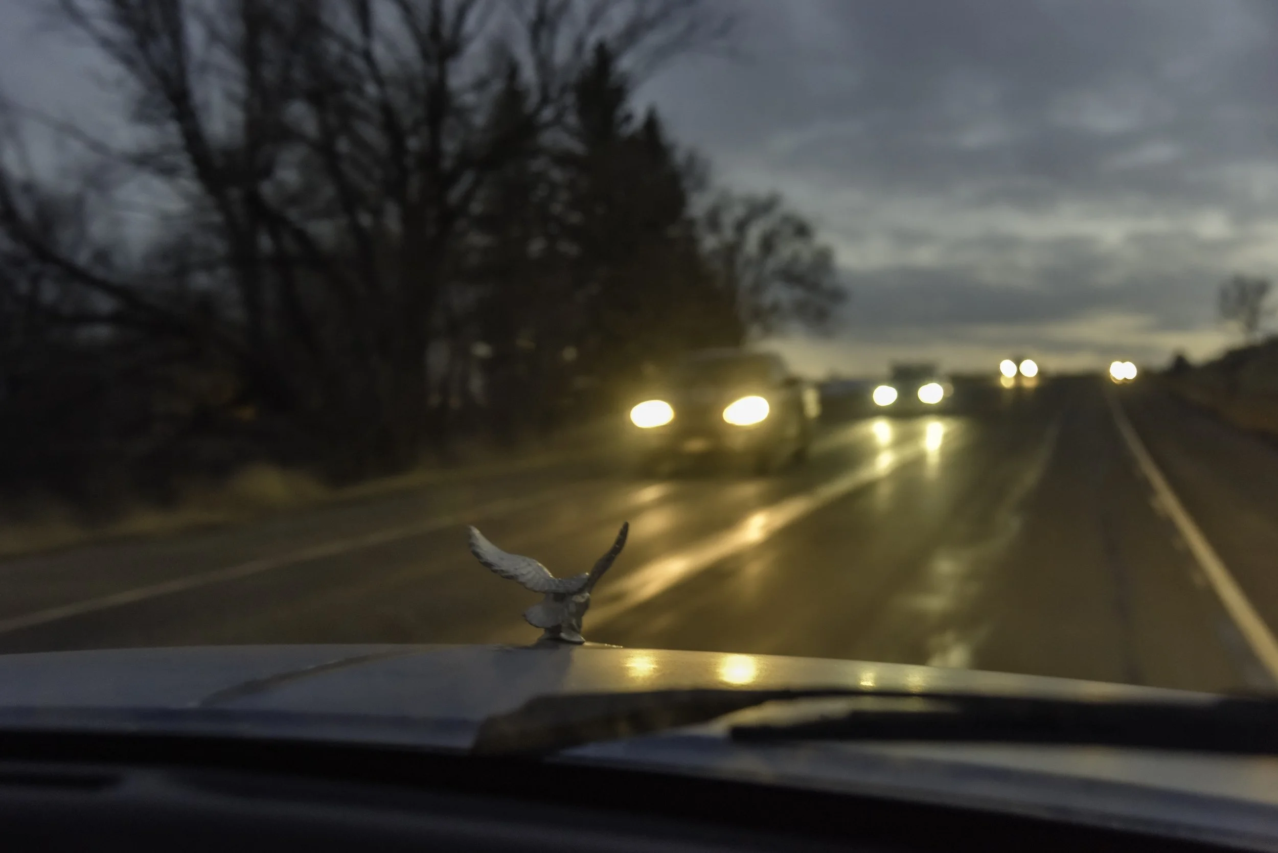 twilight rider 1-77.jpg