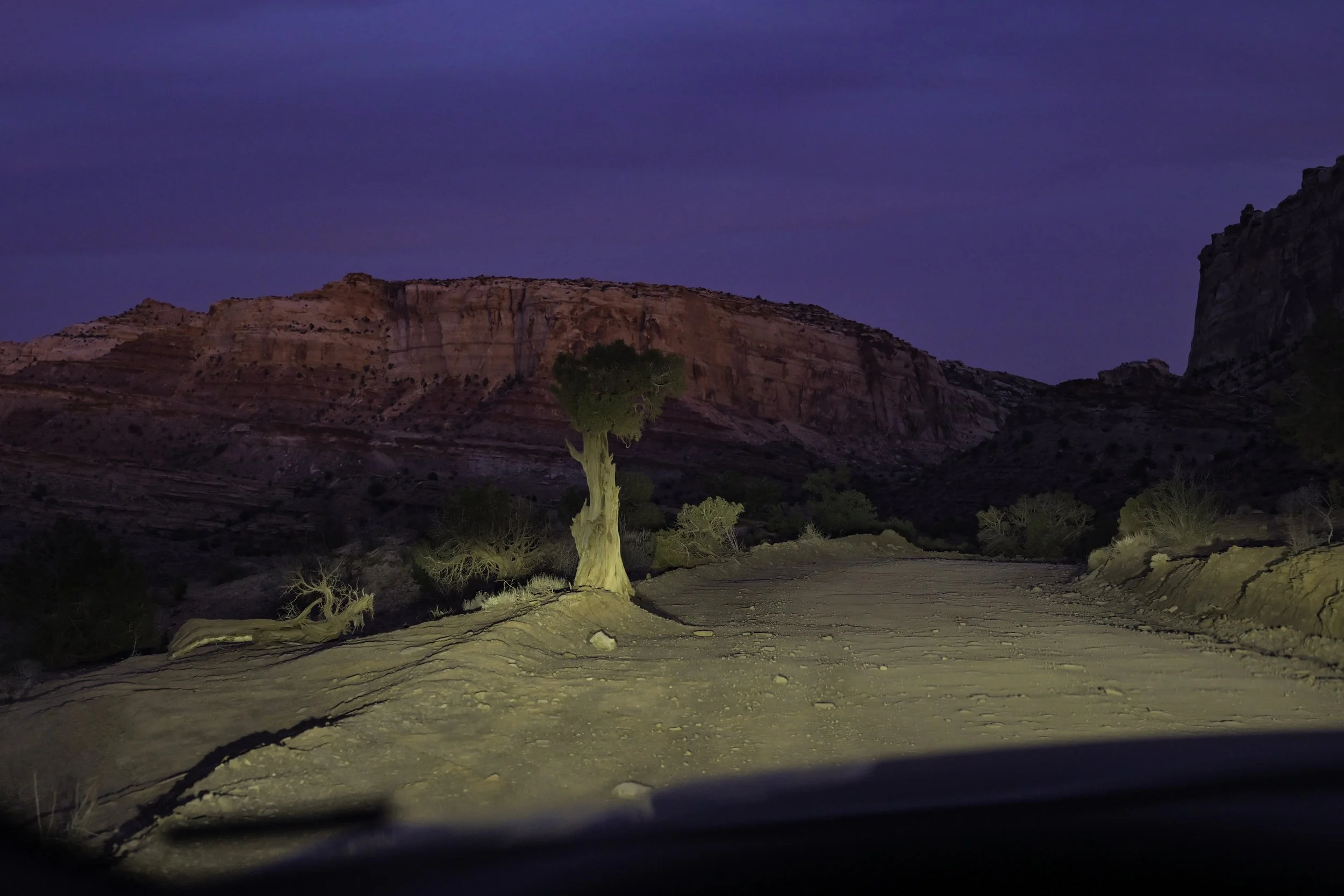 twilight rider 1-77-9.jpg