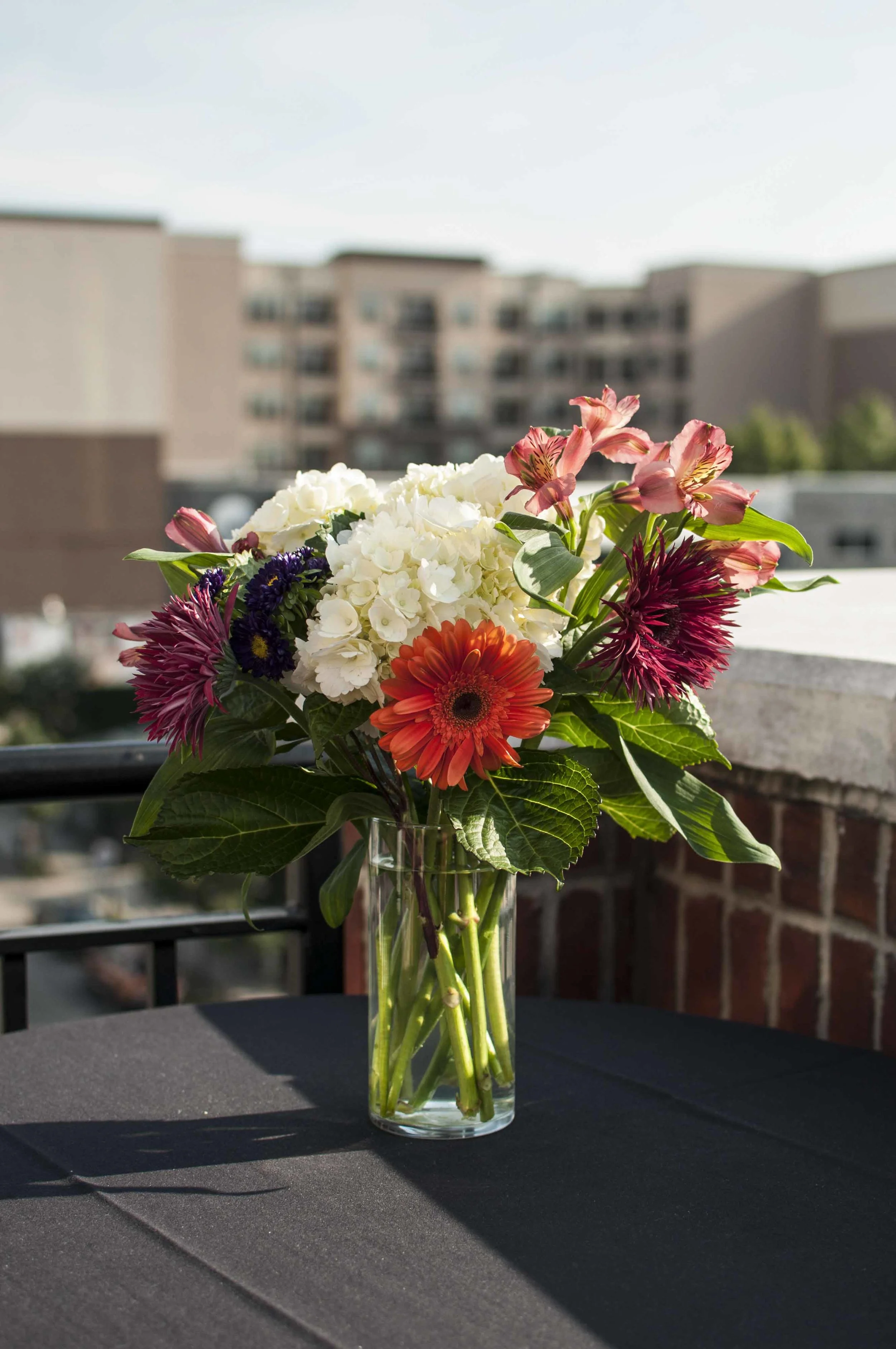 Raleigh Engagement Party_10.JPG