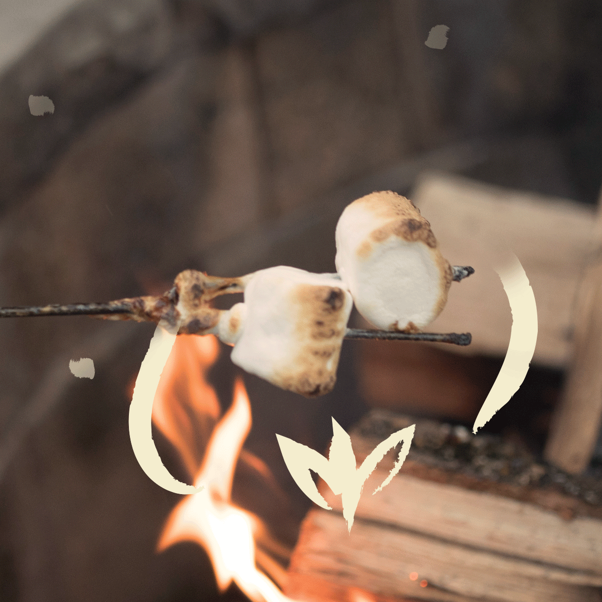   Post Caption:  Just one S’more reason to love family cookouts 🔥 #Smores 