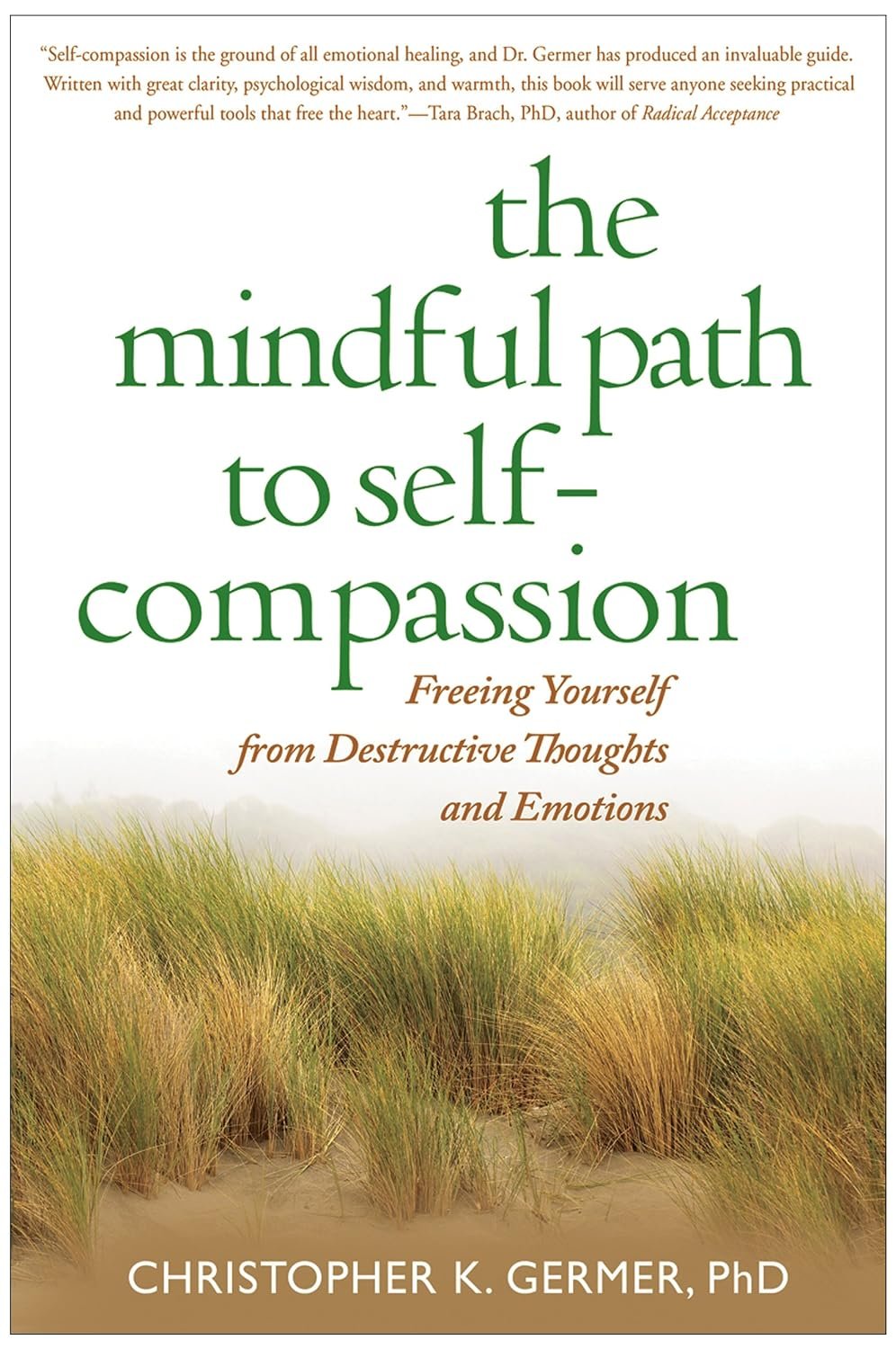 mindfulpath.jpg