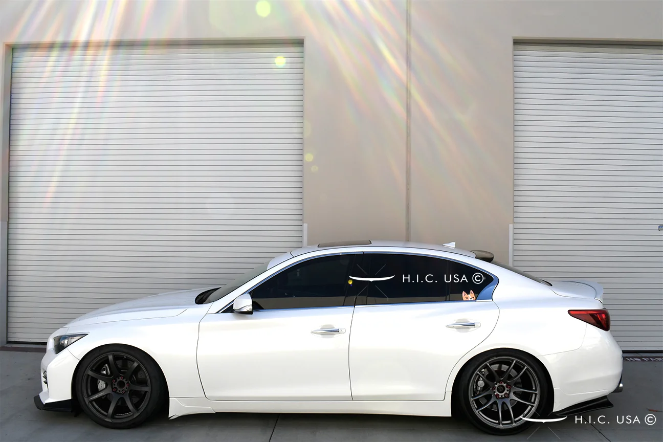 Q50 06.jpg