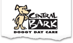 Central Bark