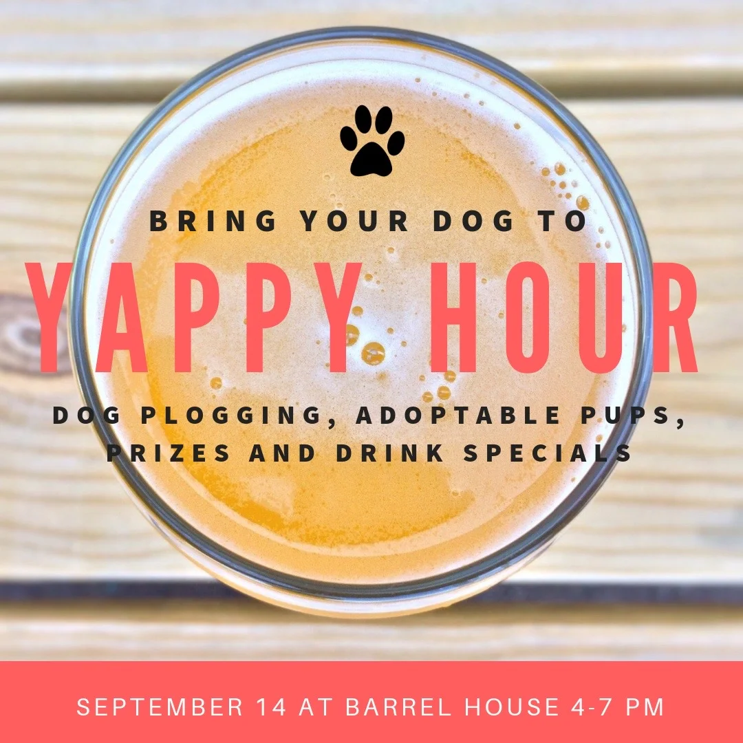 Dog Plogging Yappy Hour!