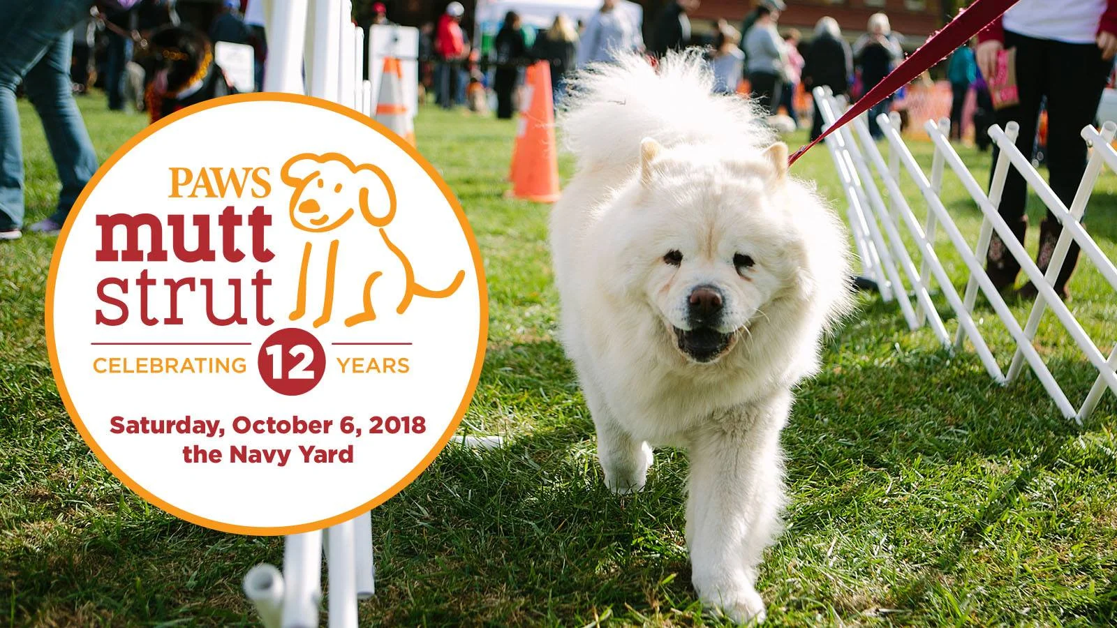 PAWS Mutt Strut