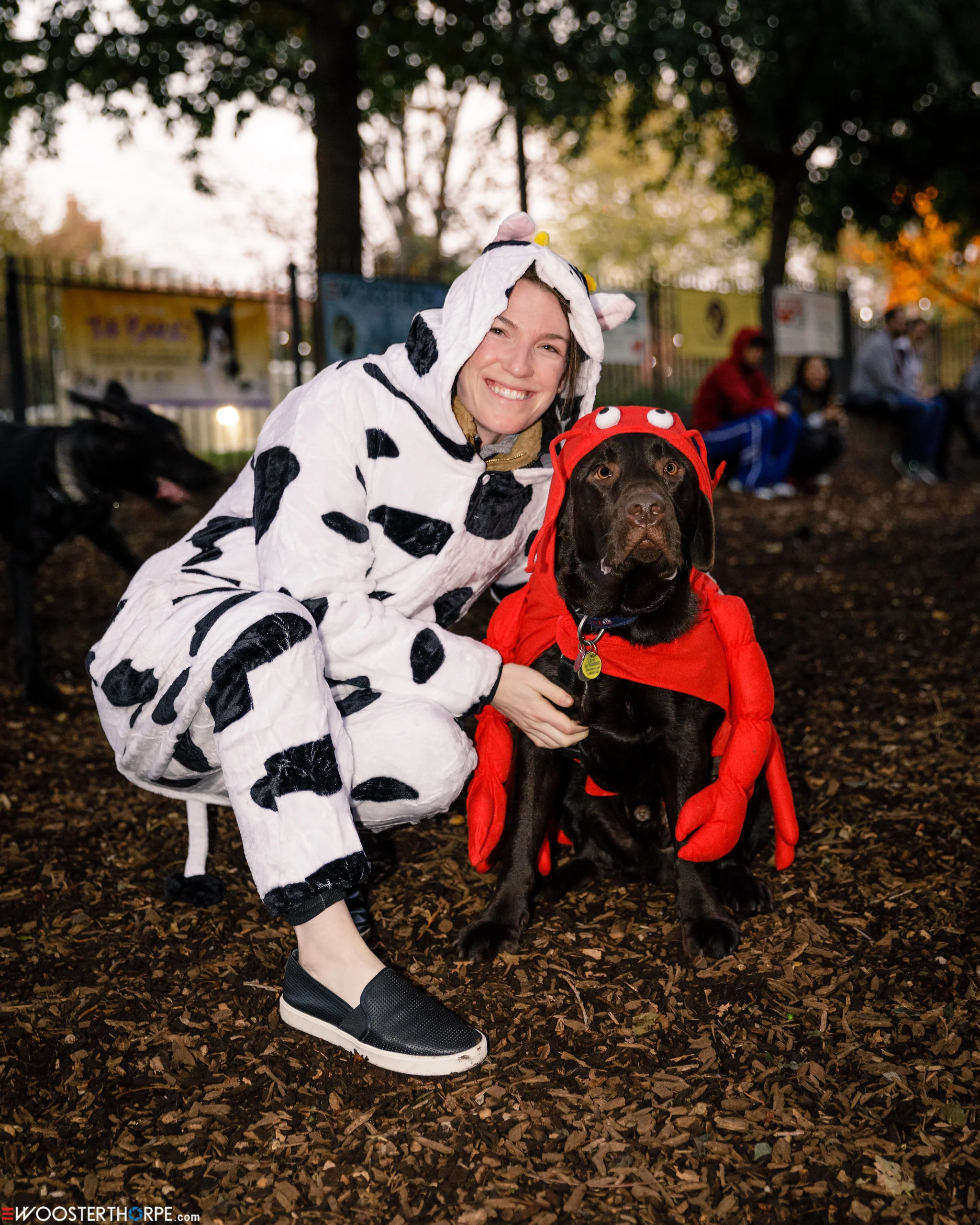 Howl-o-ween