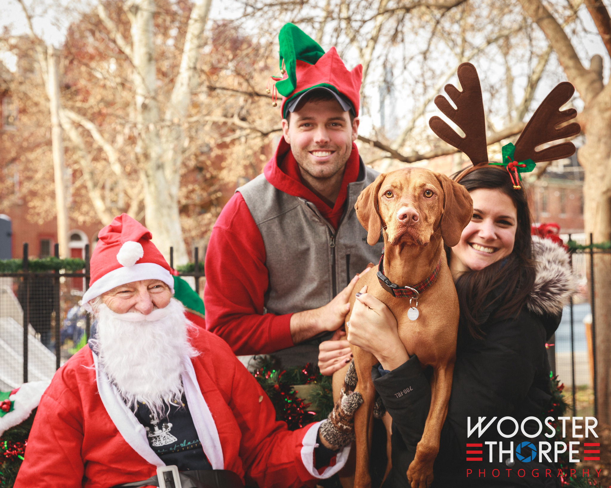 Santa Paws
