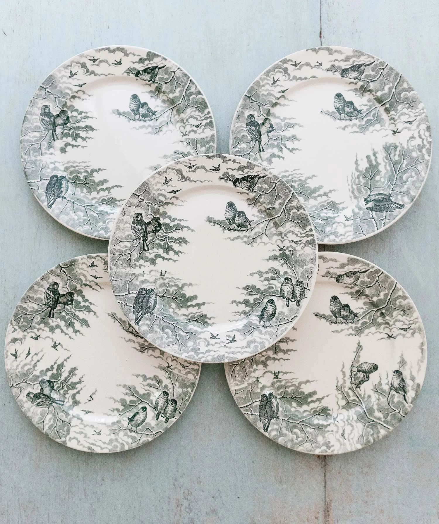 Antique French "Neige" Plates