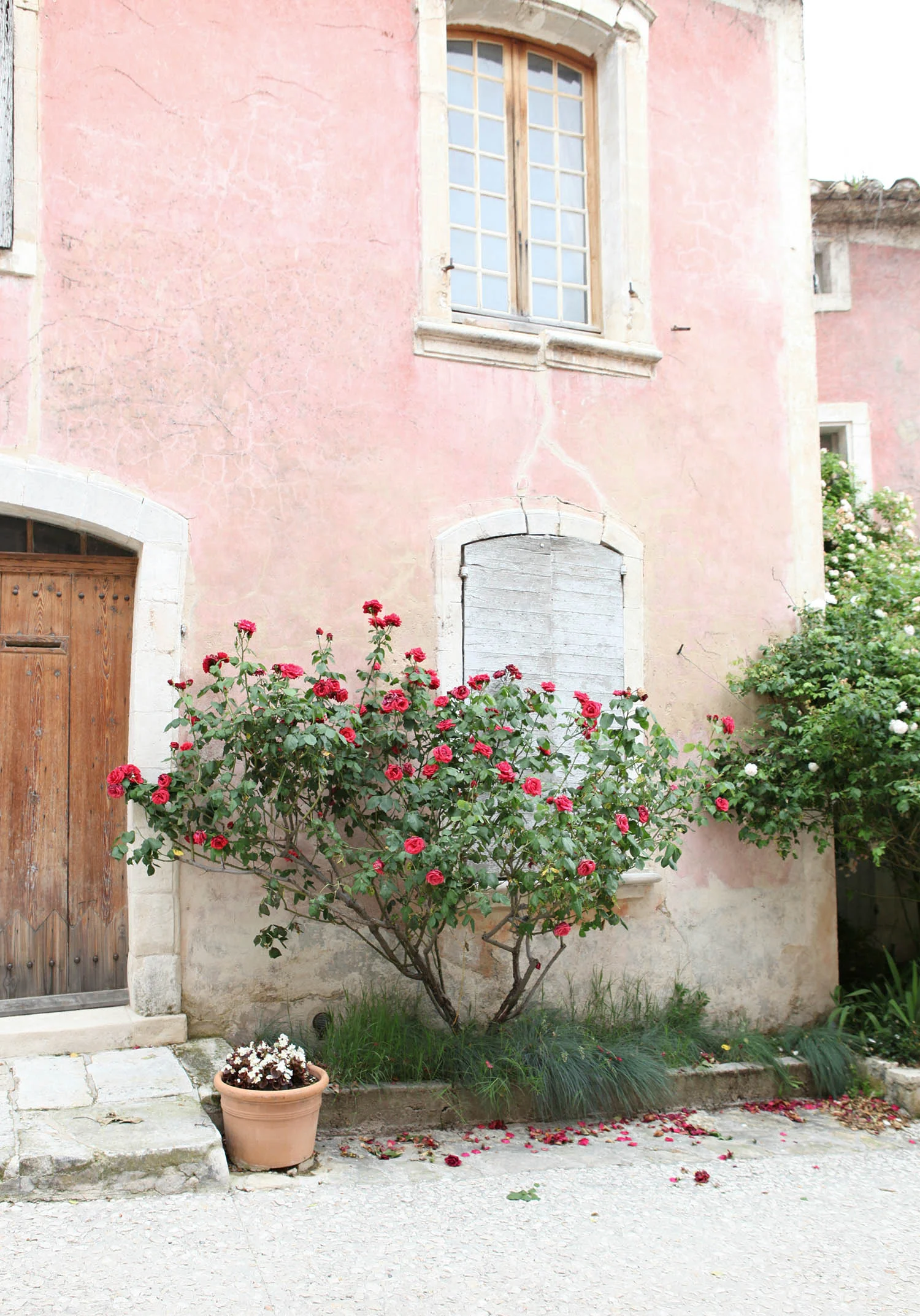 provence-pink.jpg