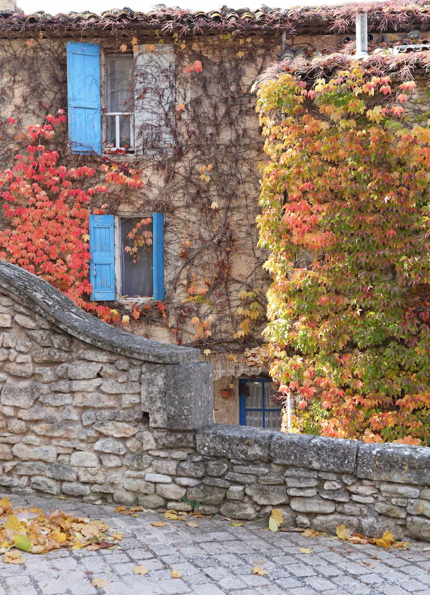 provence-fall-2.jpg