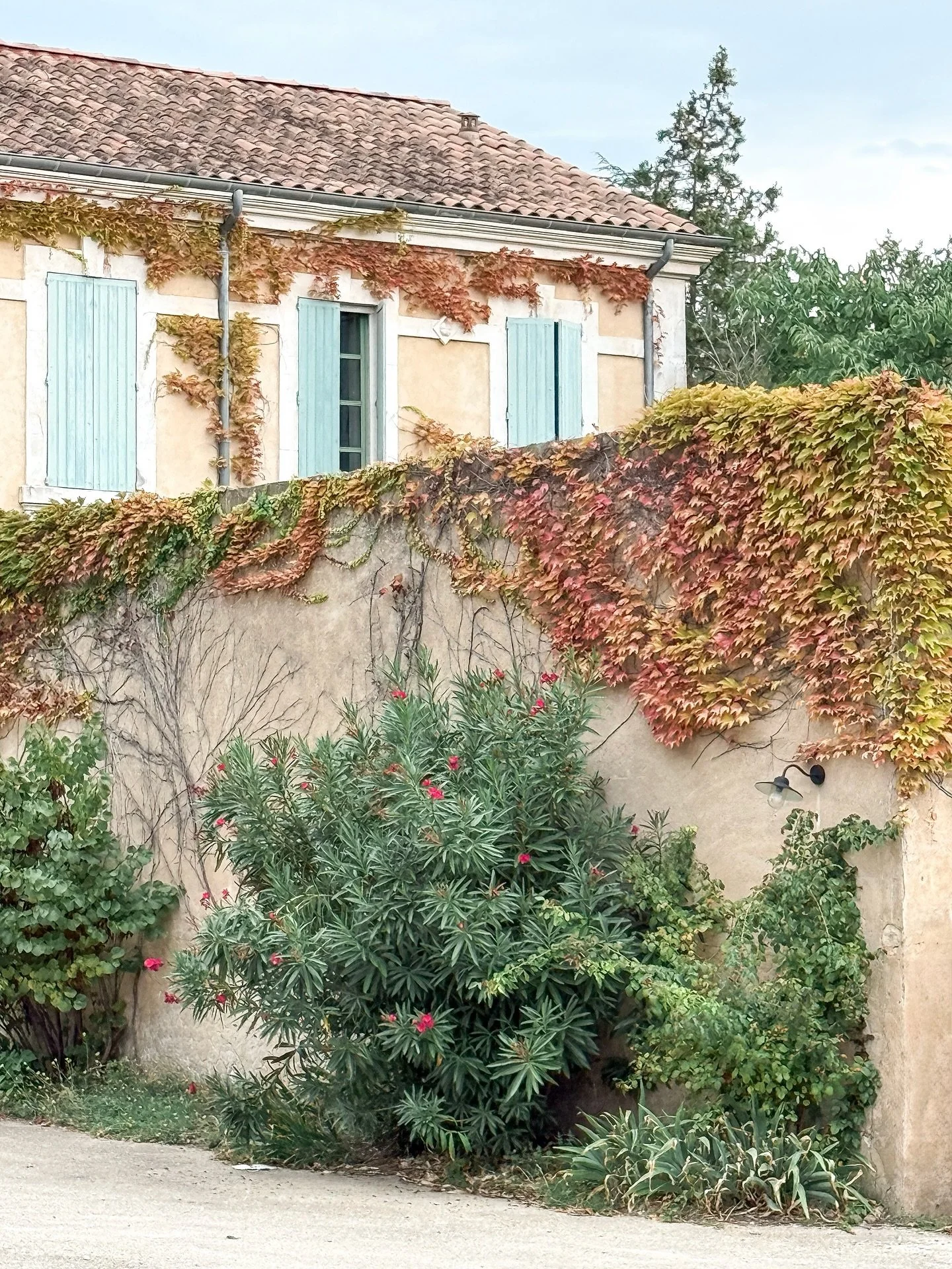 Autumn color starting to show its beauty here in Provence