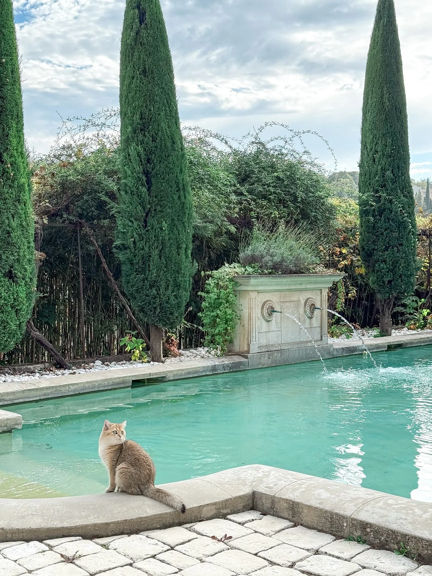 Hanging out by the pool. Still some glorious weather here in Provence