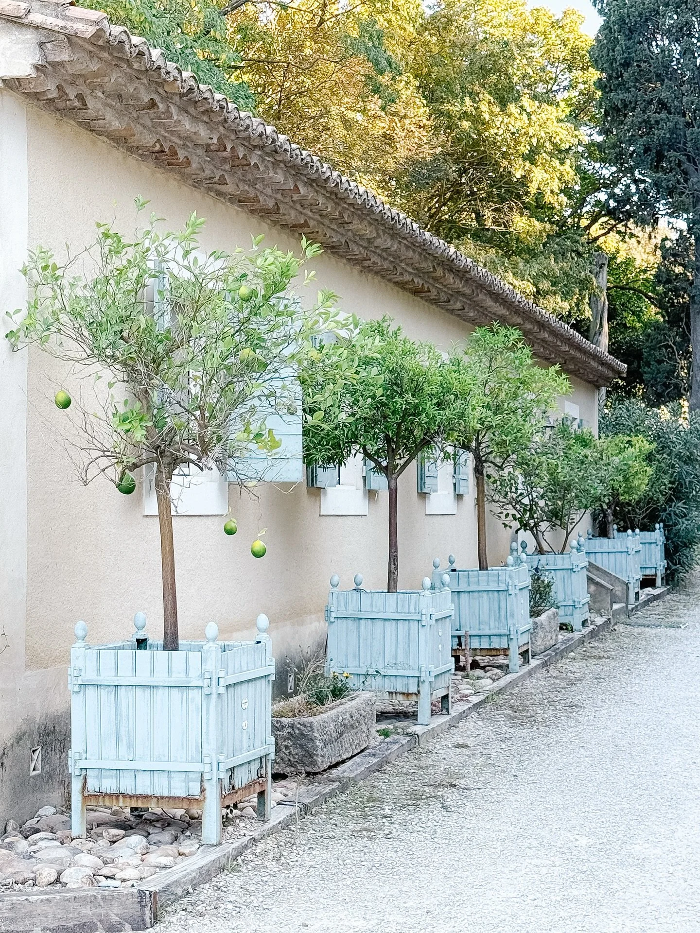 The beautiful property of @domainedalmeran attached to the farmhouse that Jessica @jk_myfavoritefrance and I are staying at. The weather today has been gorgeous!
