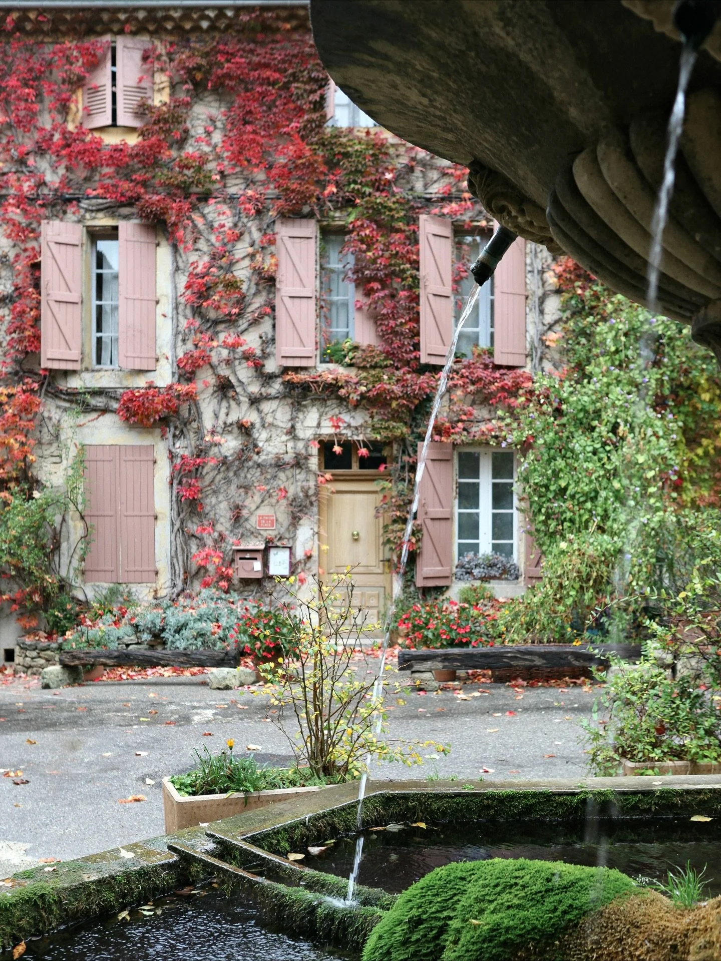 Last week I shared a few glimpses into early autumn in Provence. Tonight I am sharing some of my favorite fall color in France photos through the years. I used to visit Provence every year in late October/early November for peak fall color. Once I st