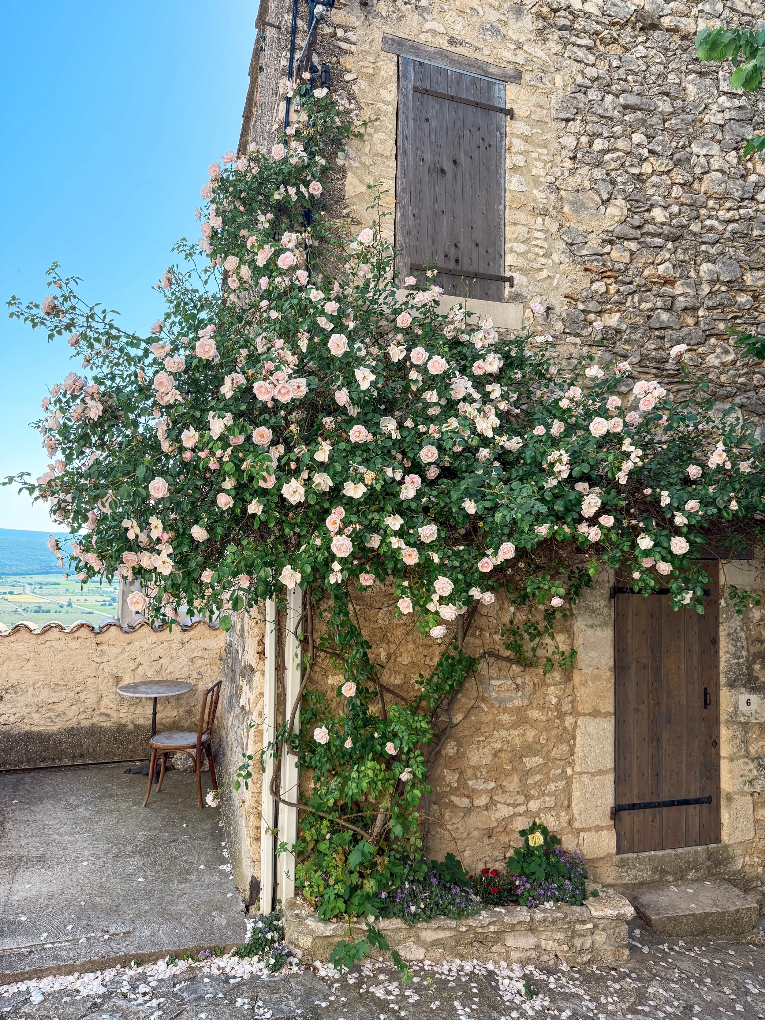 {Simiane-la-Rotonde}  I am back in Provence!  My friend, Tricia @arosynote, is here with me right now. We are scouring for roses, poppies, and jasmine before their season is over&hellip;Next week my first tour guests arrive!  It&rsquo;s been very hot