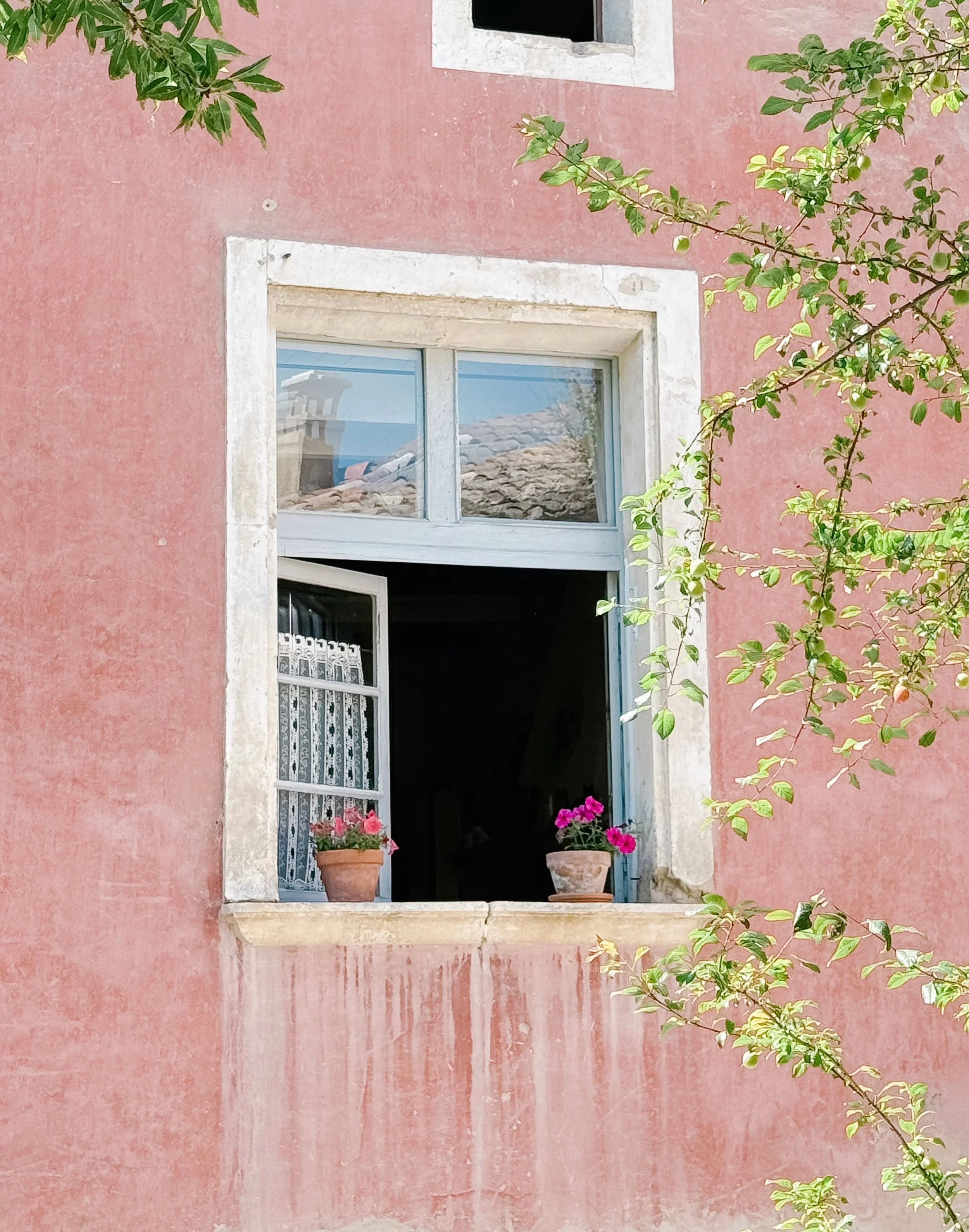 Bon dimanche!  Hope you&rsquo;re having a lovely Sunday. {Today in Opp&egrave;de-le-Vieux}