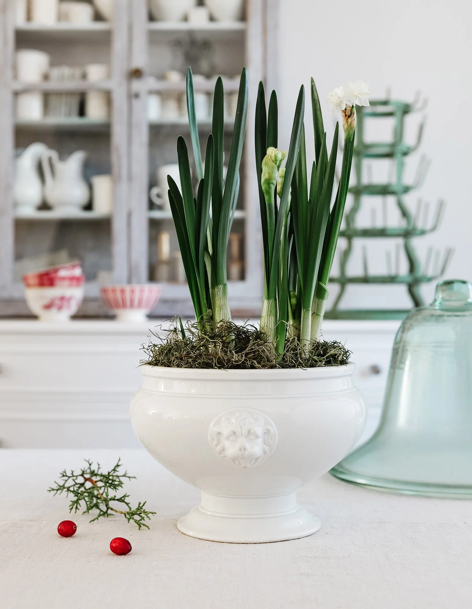 Antique French Lion's Head Tureen