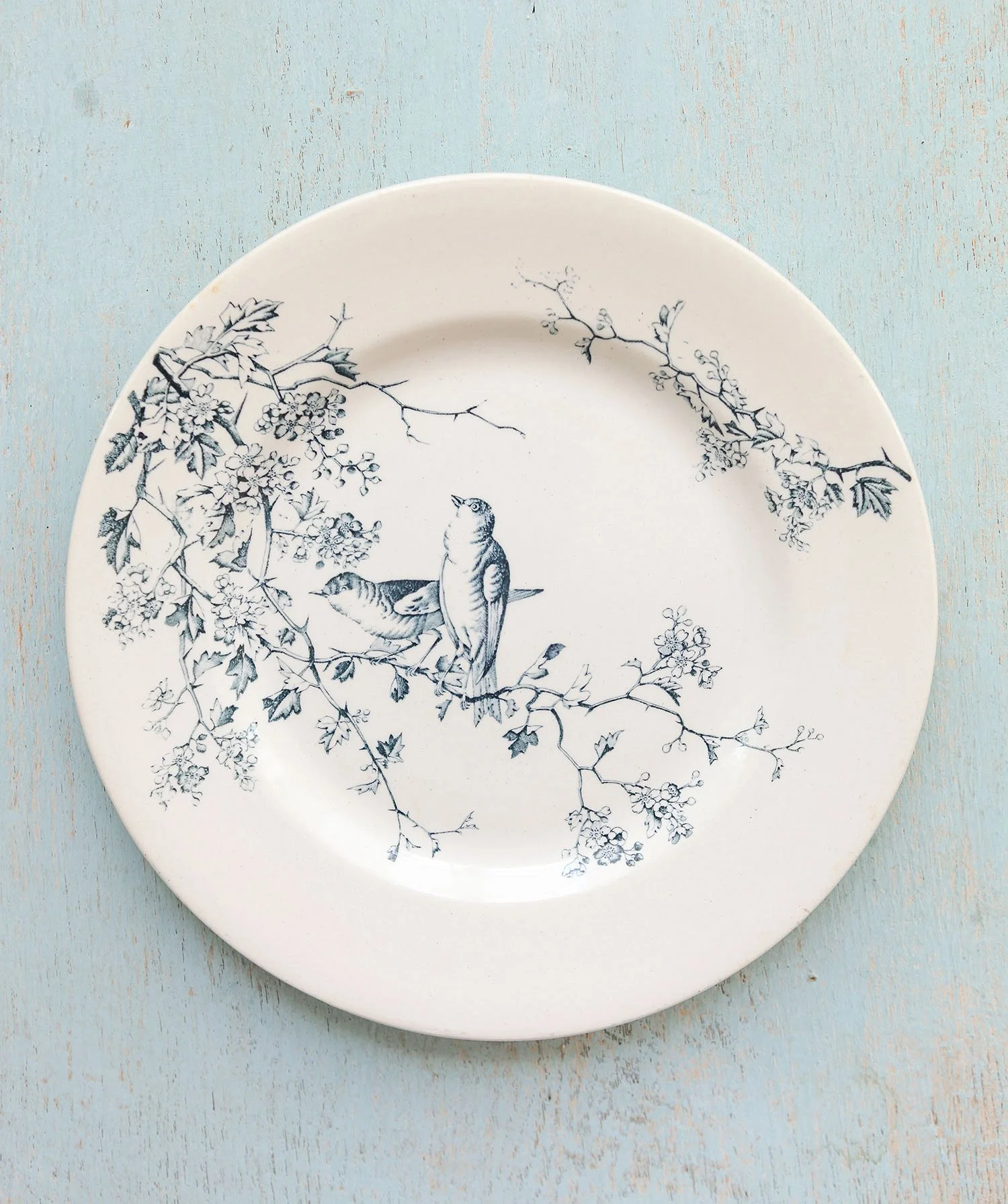fauvette-plate.jpg