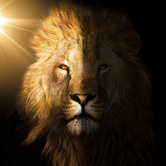Virtual Lion's Gate Activation