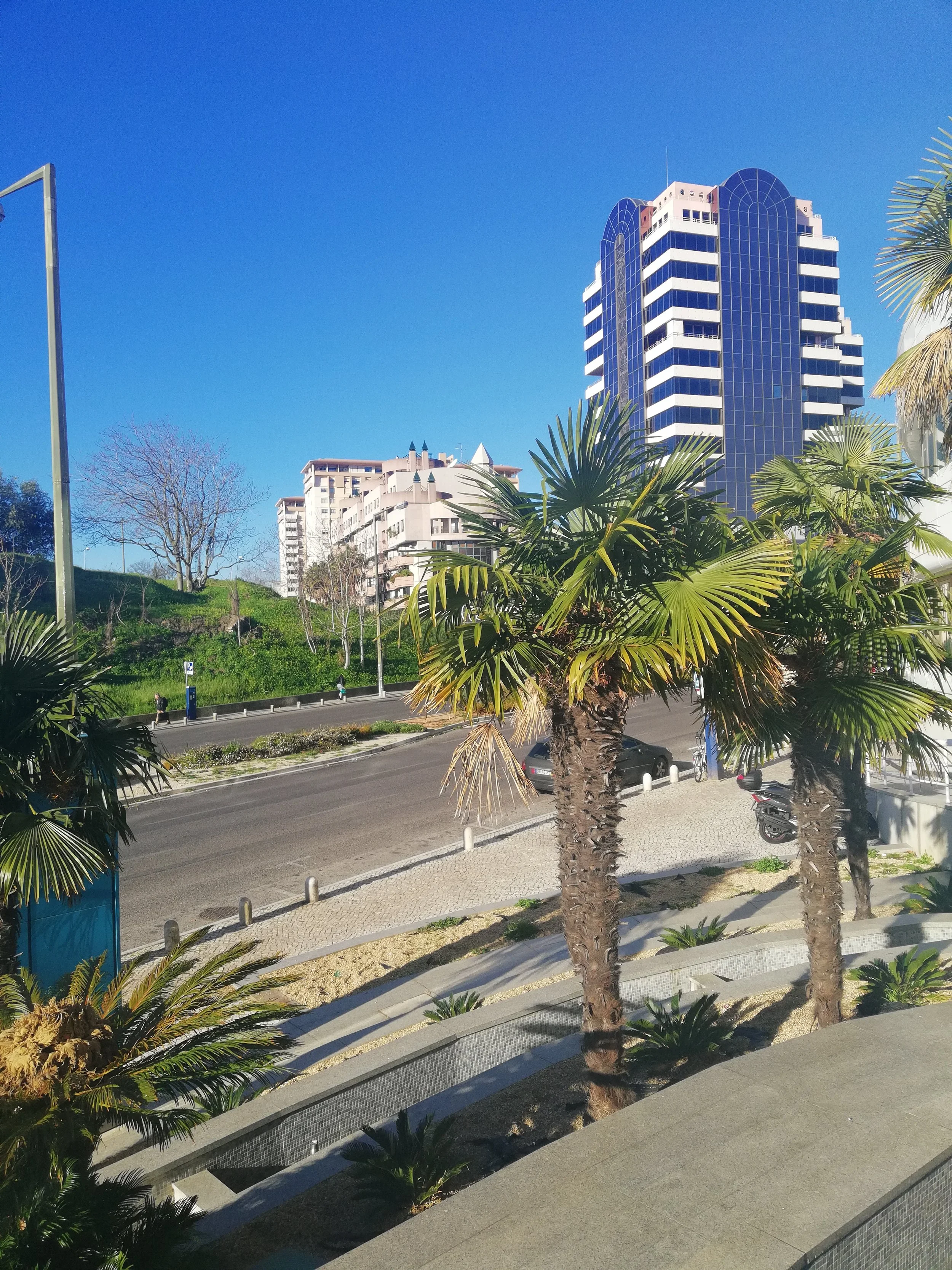 The view from the office