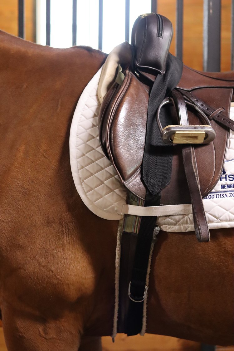 Blocker　Athletic　Pommel　Sally　—　Batton　Equestrian