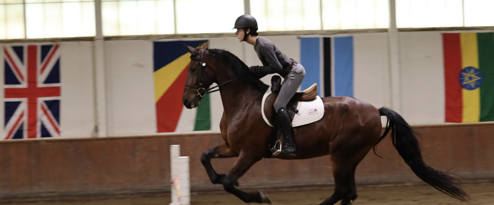 Correct Connect and Athletic Equestrian Partner on the Pommel Blocker
