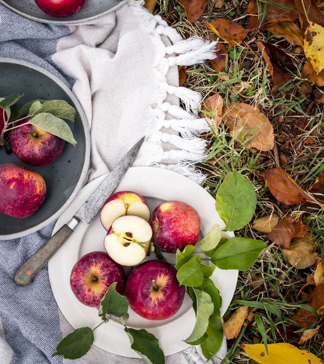 cider_location_2023.jpg