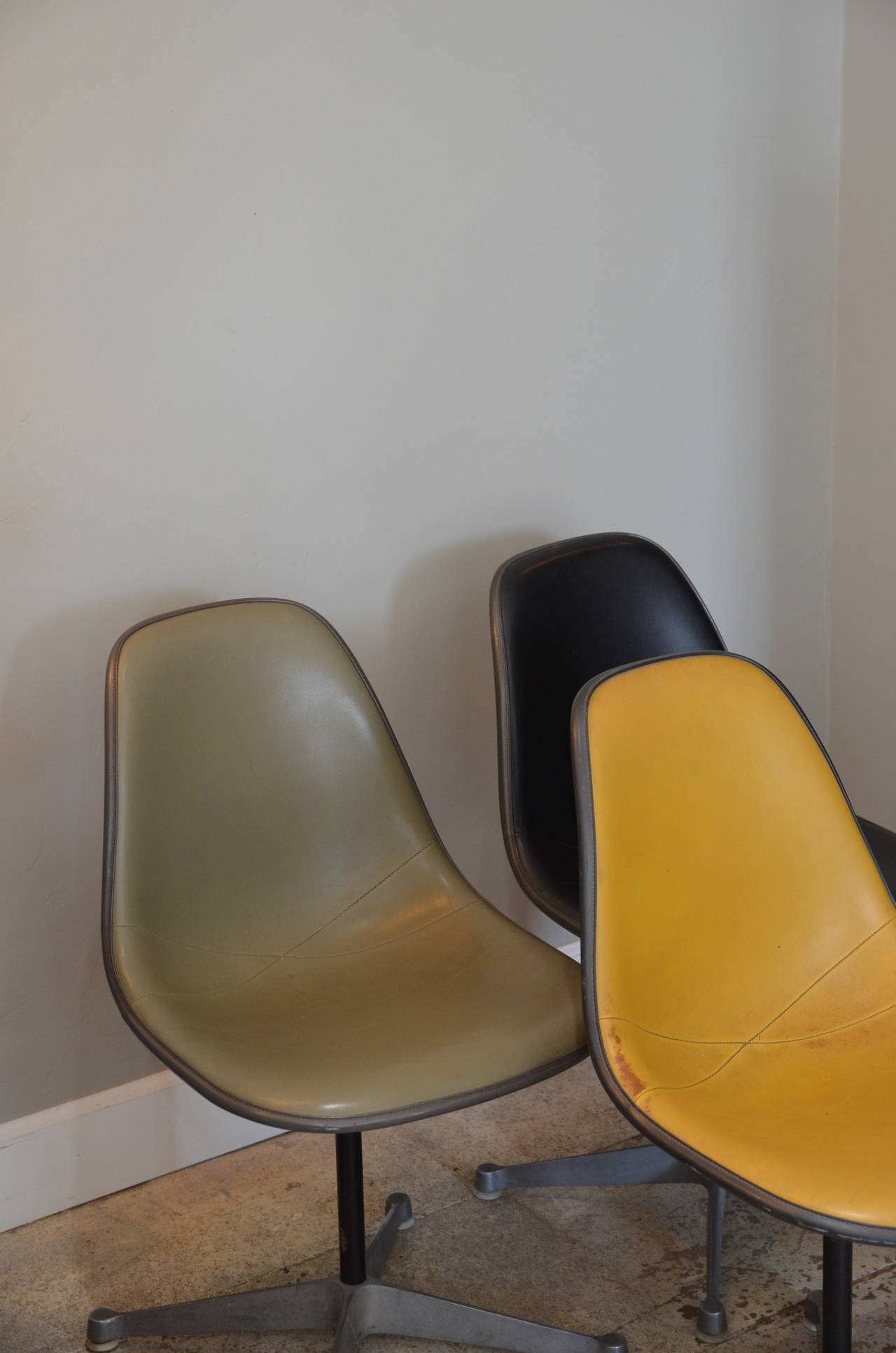 DSC_0047_l.jpeg