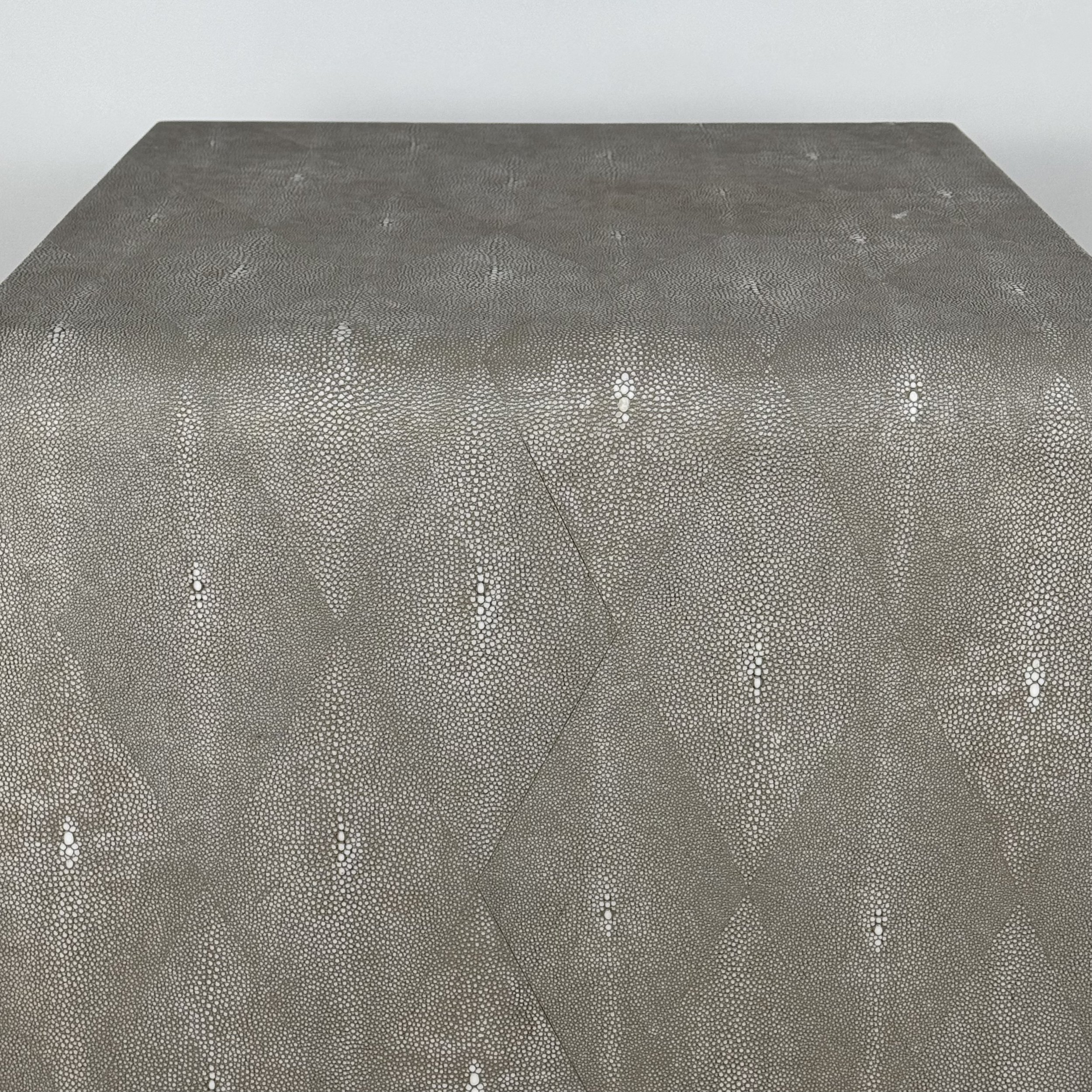 Shagreen Table-5.jpeg