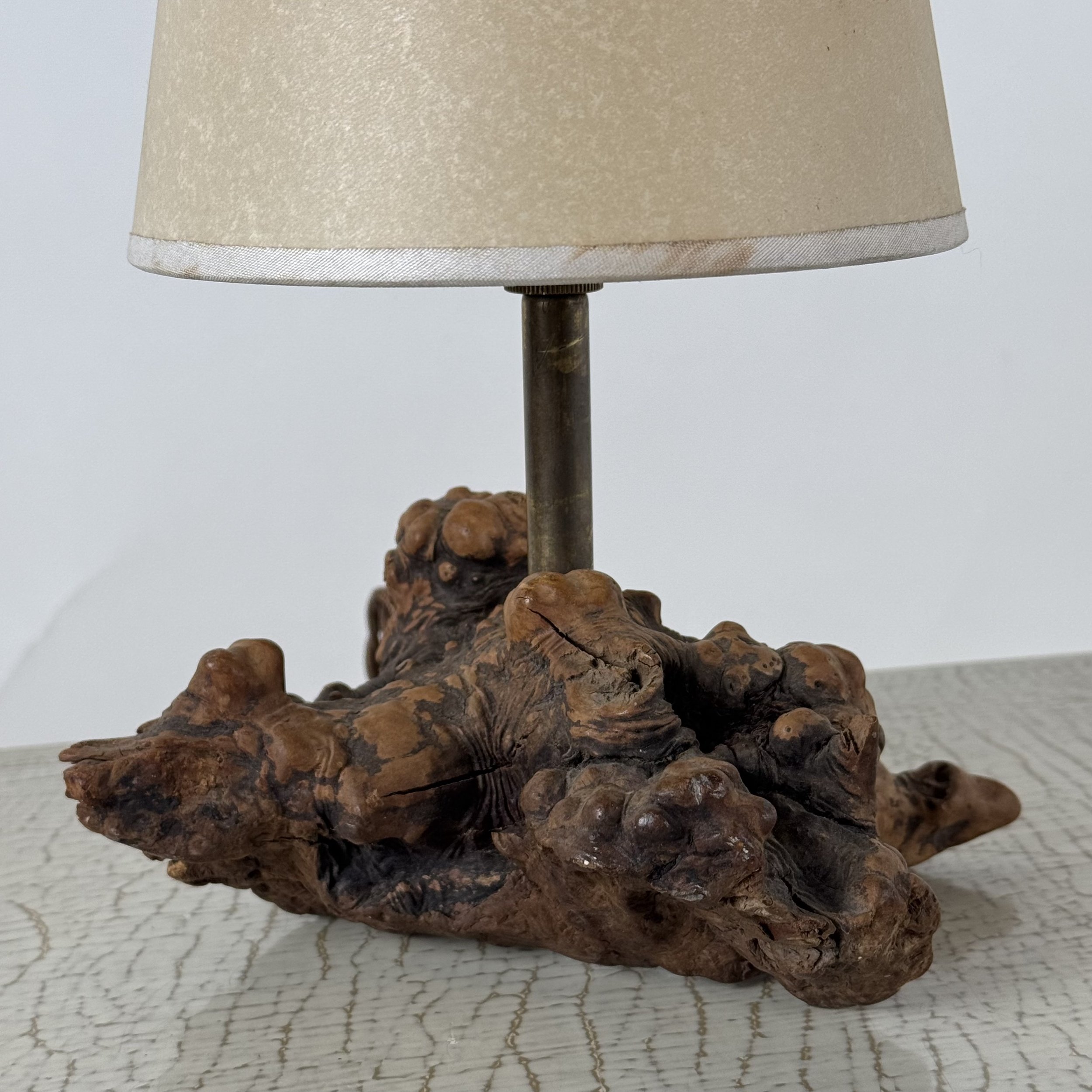 Burlwood Desk Lamp Cone 4.jpeg