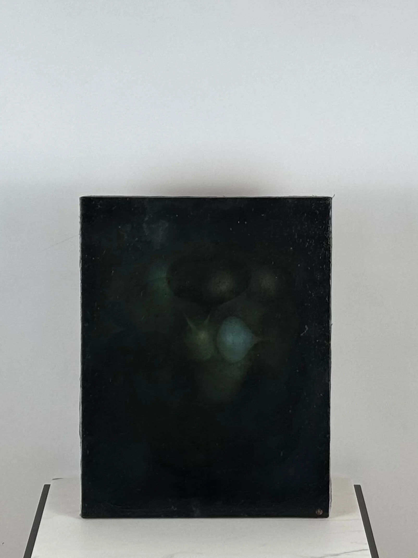 Robin Harker-1.jpg