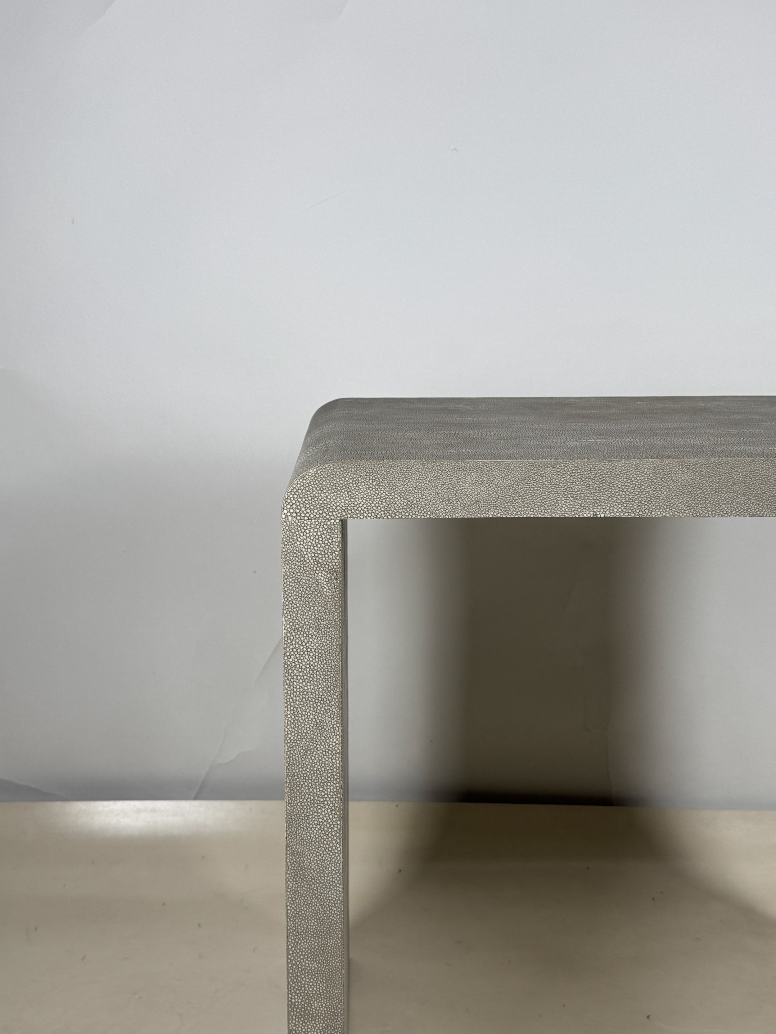 Shagreen Table-6.jpeg