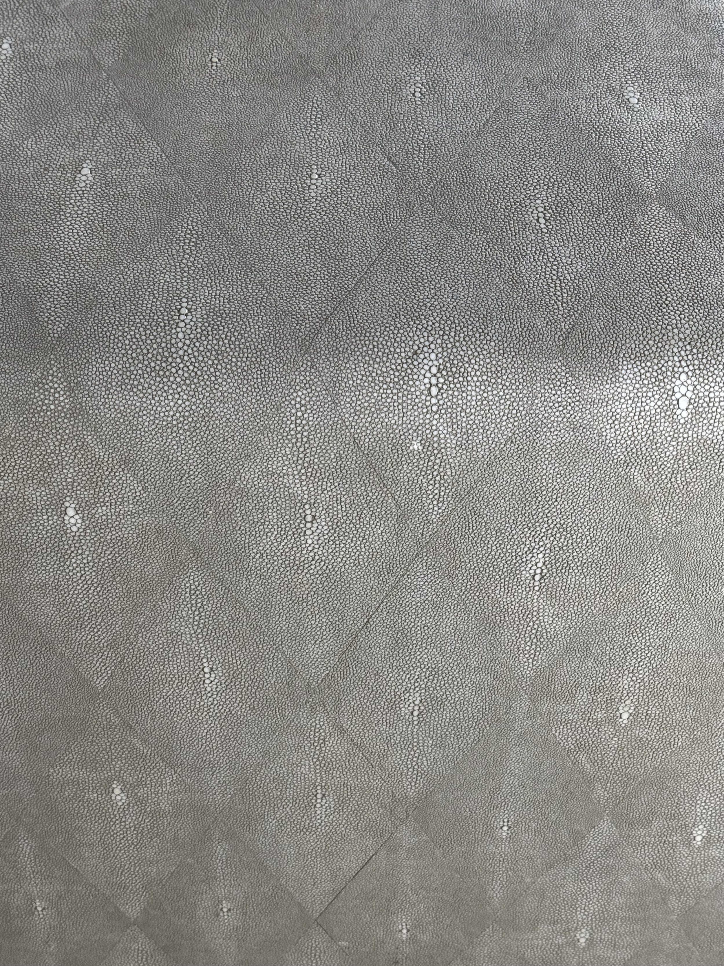 Shagreen Table-8.jpeg