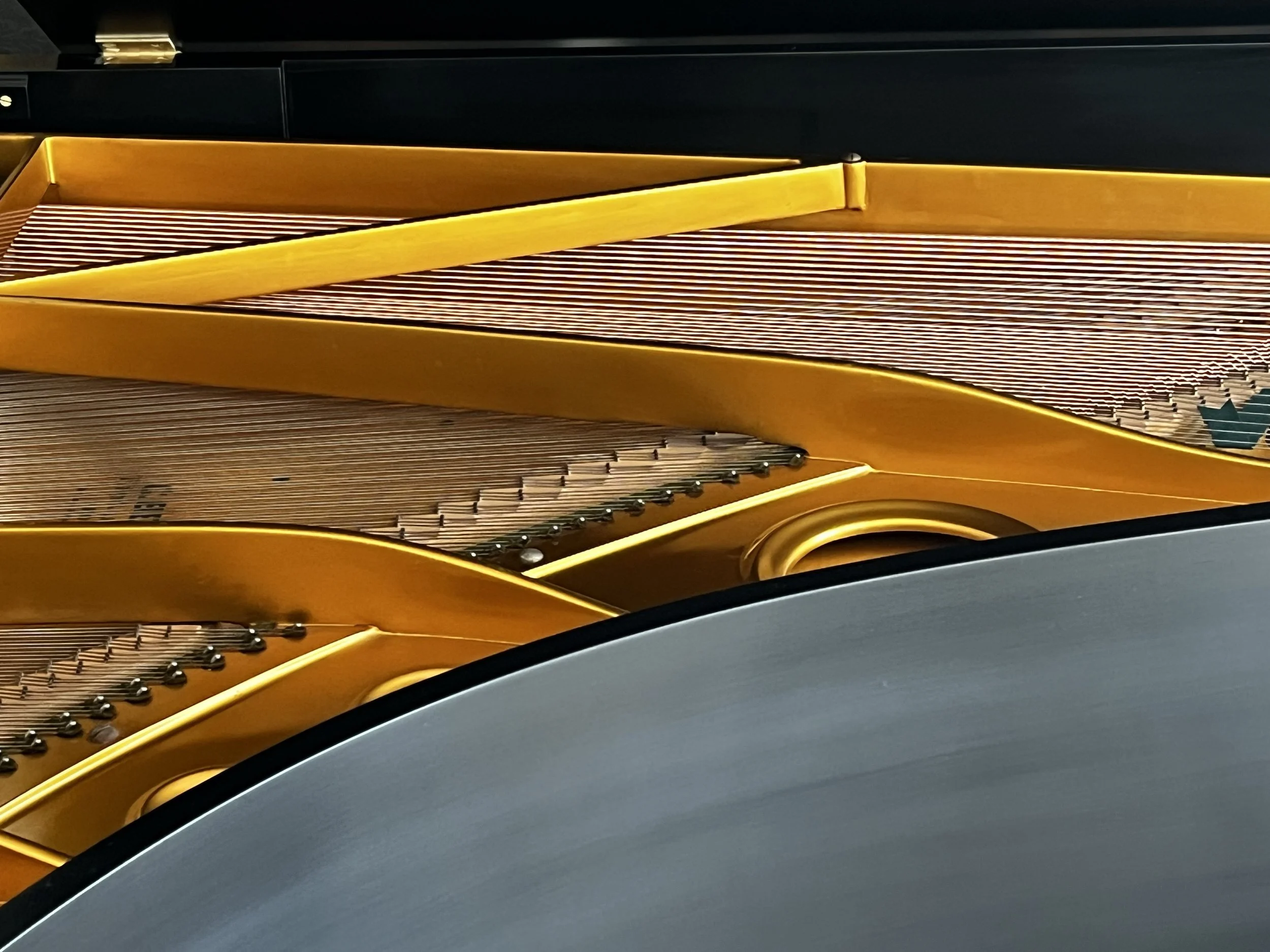 Bechstein piano-15.jpg