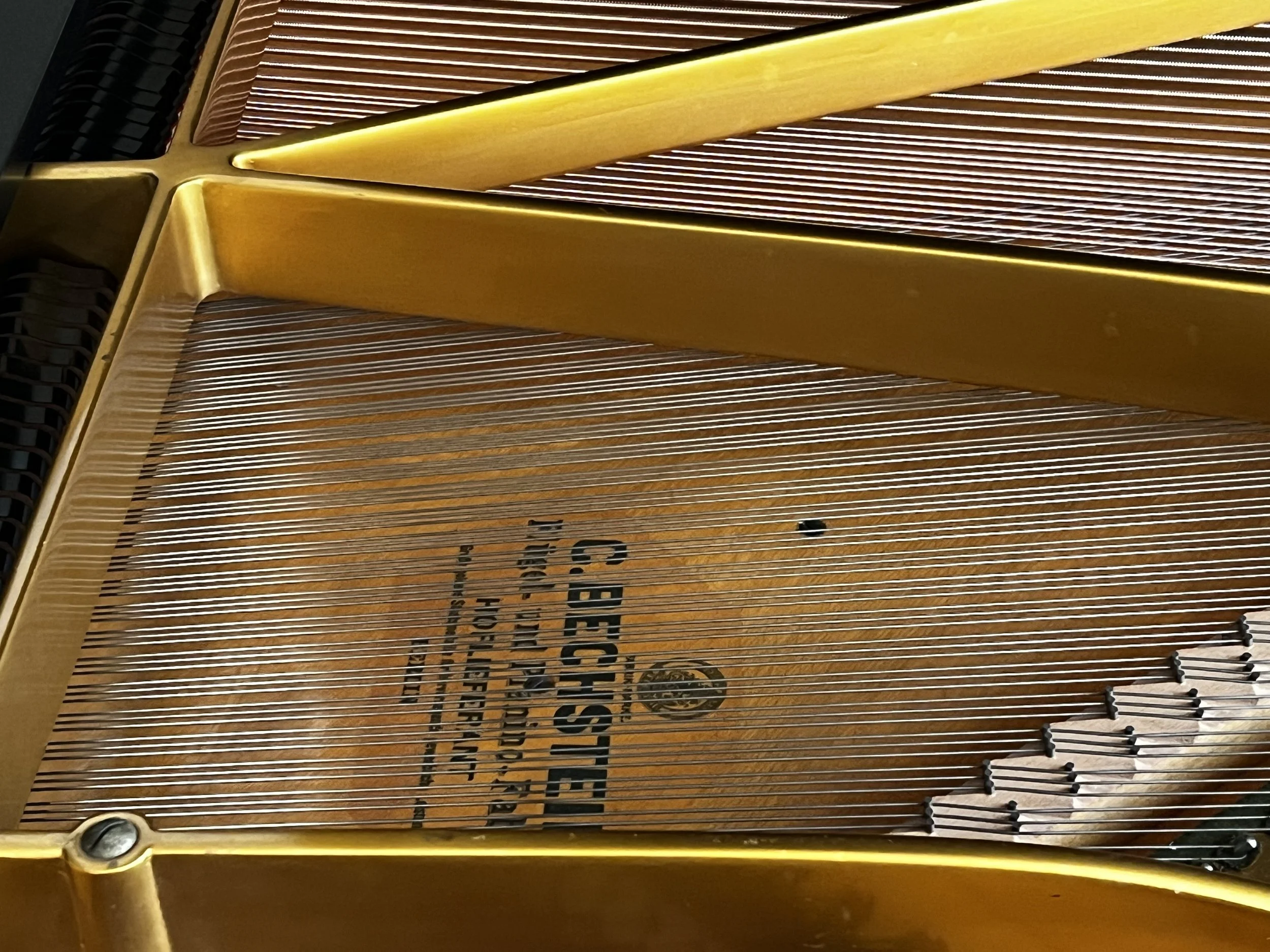 Bechstein piano-12.jpg