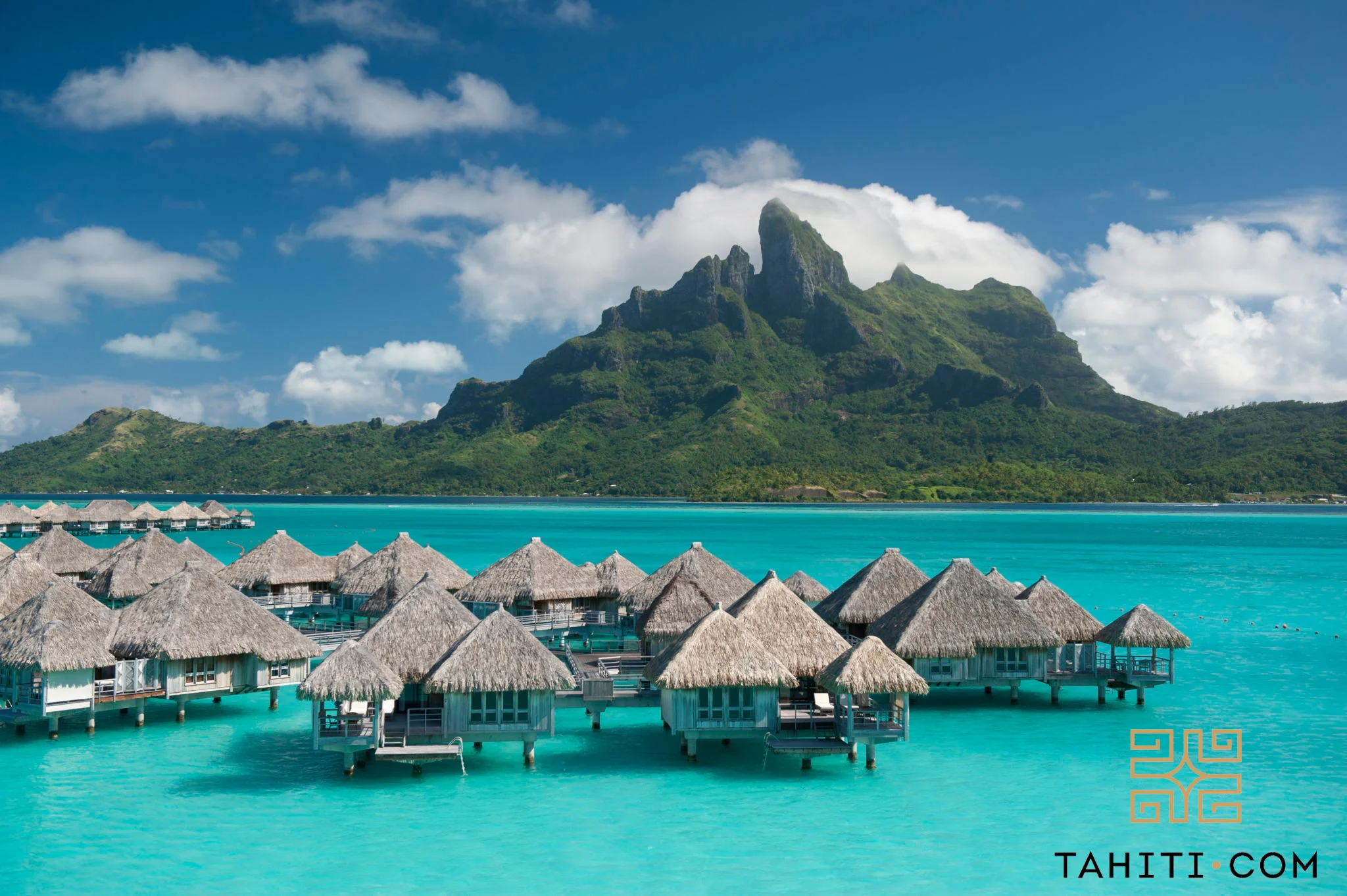 tahiti.jpg
