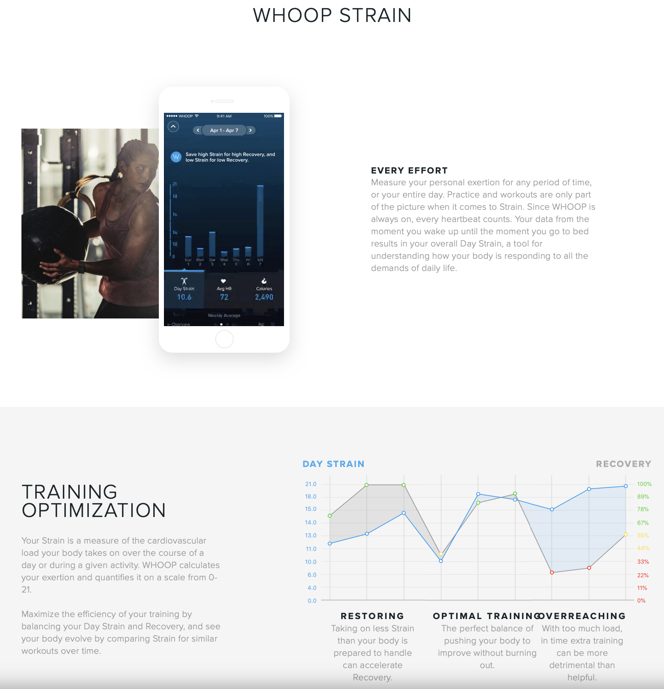 Screen Shot 2018-11-15 at 12.00.05 PM.png