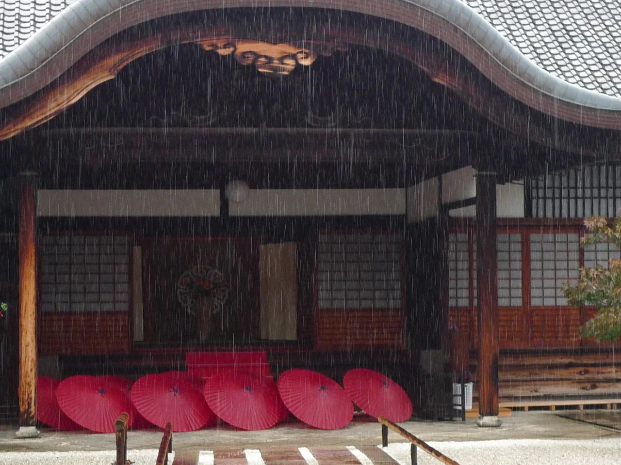 Kyoto Diaries - 3