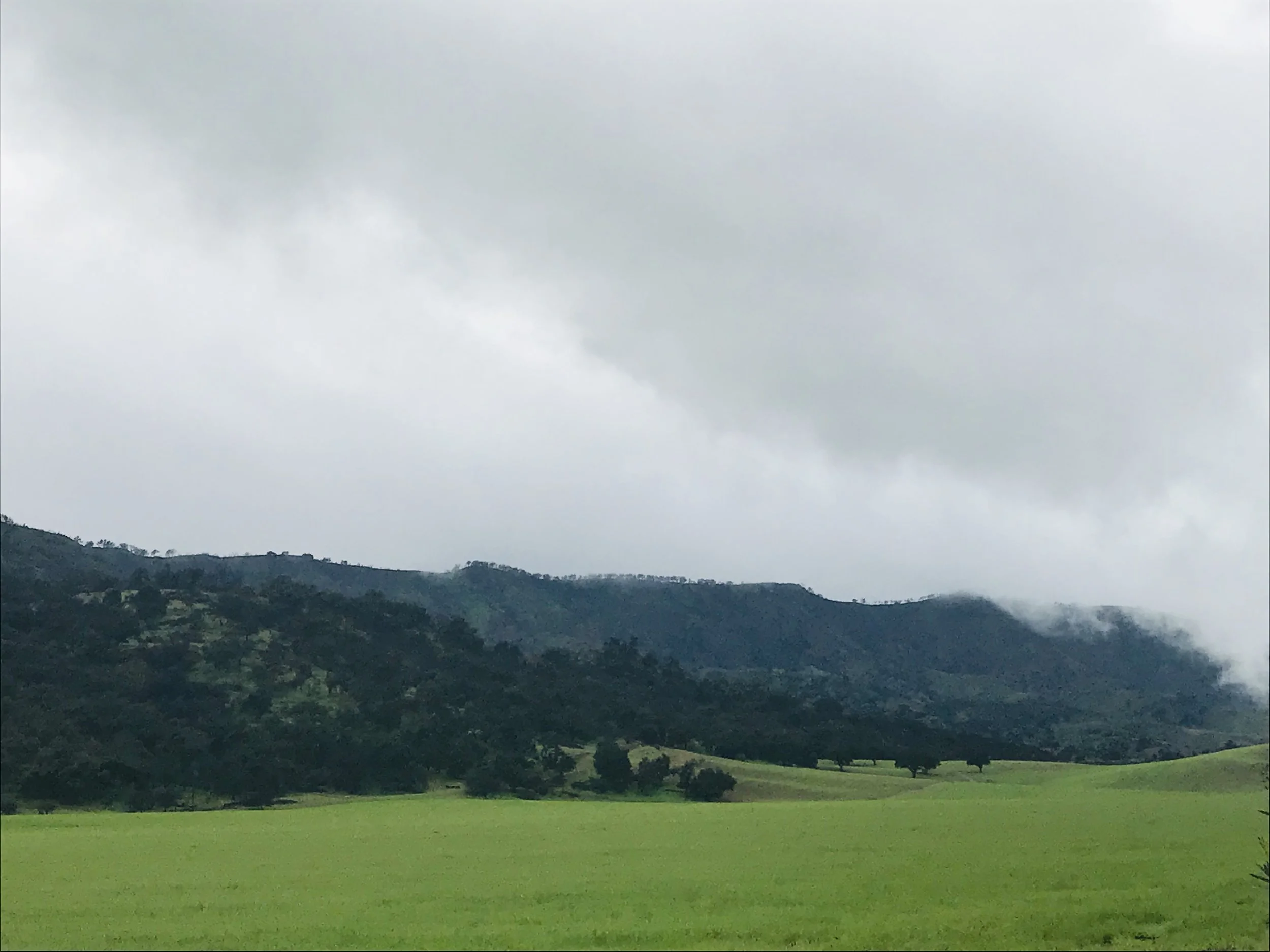 Winter in Southern California