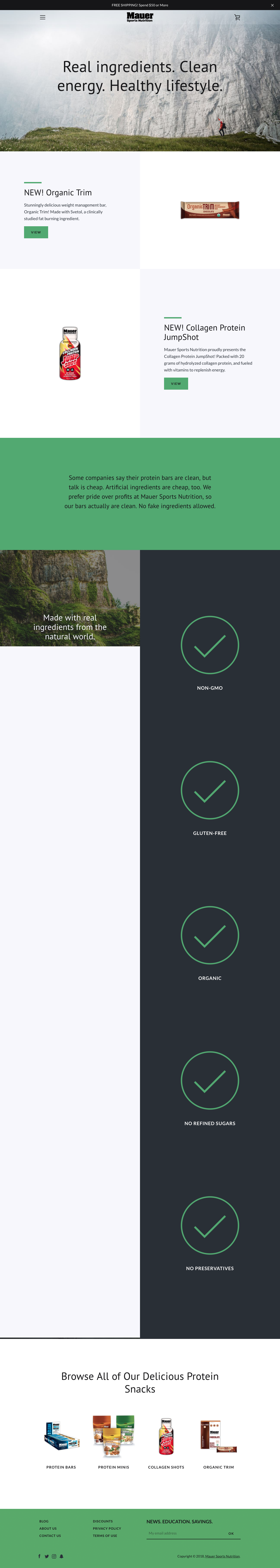 mauer website 3.png