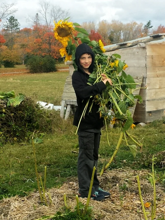 fall clean-up.png.jpg