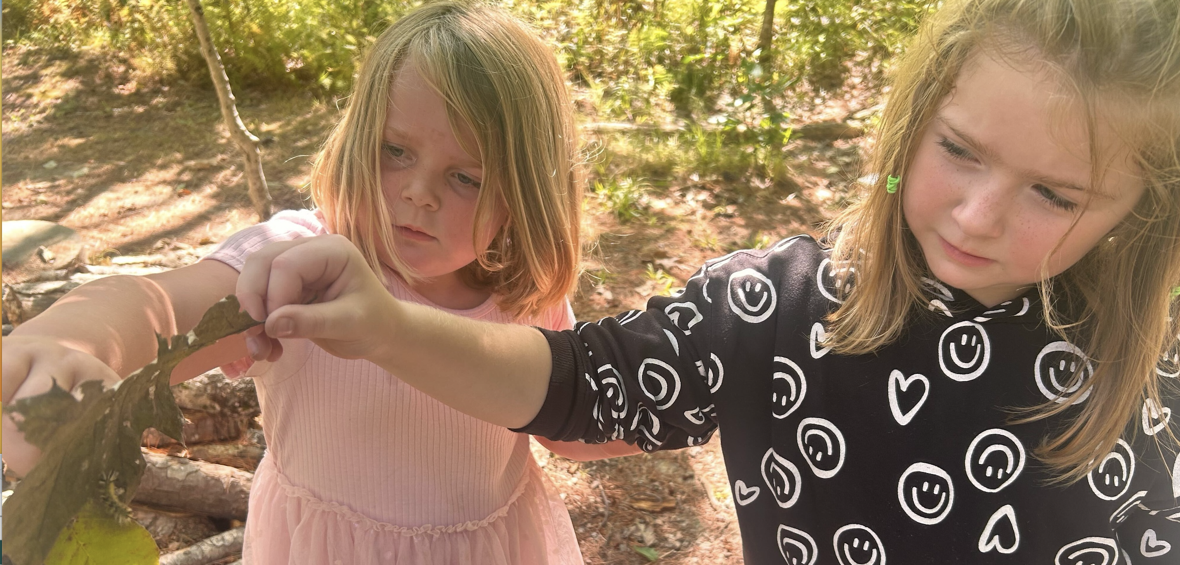 Screenshot 2026-03-17 at 12.43.19 PM.png