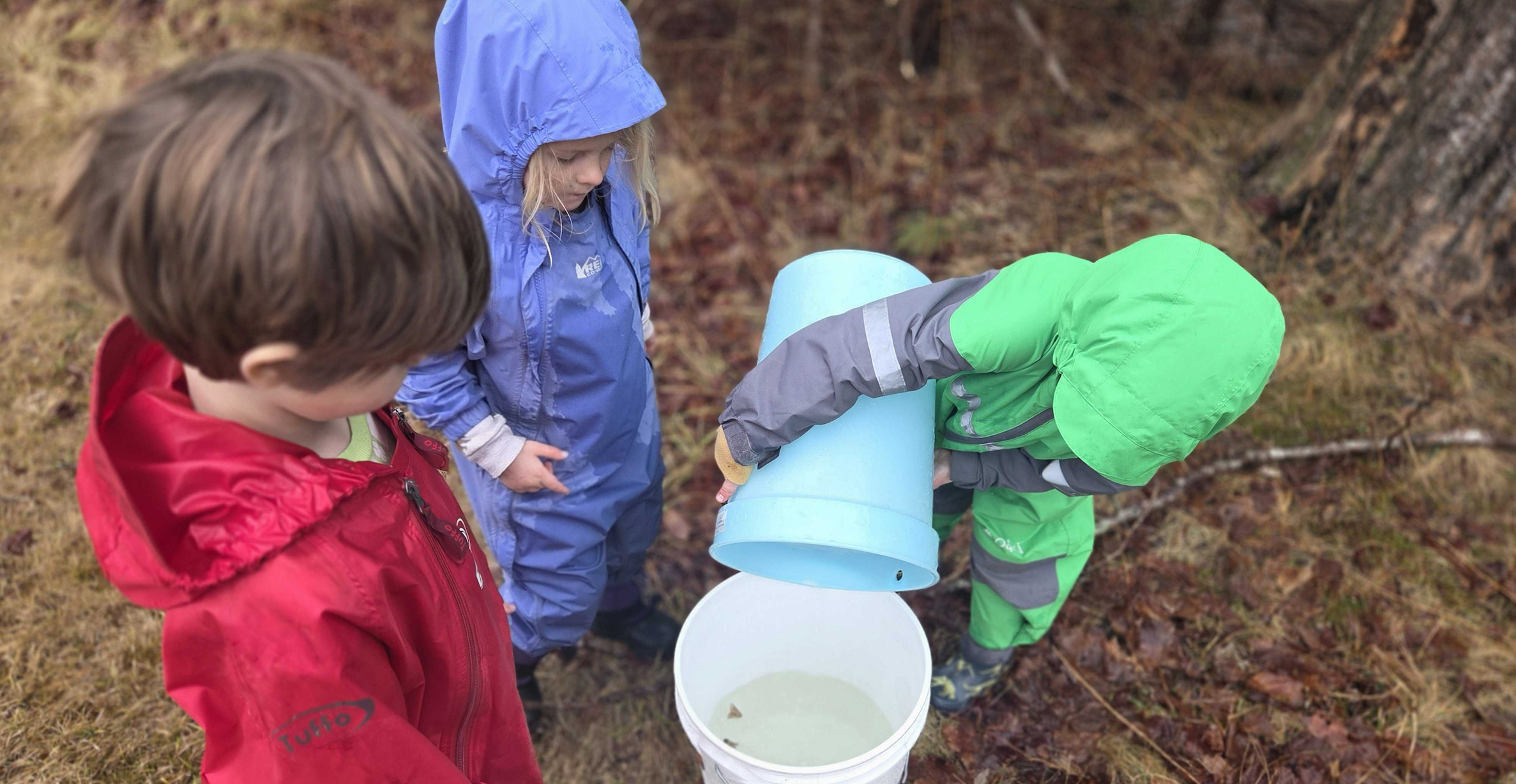 Screenshot 2026-03-17 at 12.45.49 PM.png