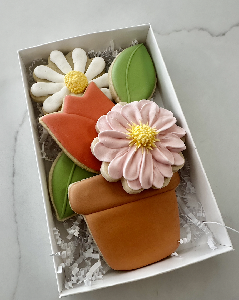 Screenshot 2026-04-25 at 10.46.10 AM.png