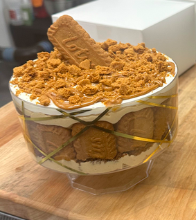 Screen Shot 2025-01-14 at 1.18.08 PM.png