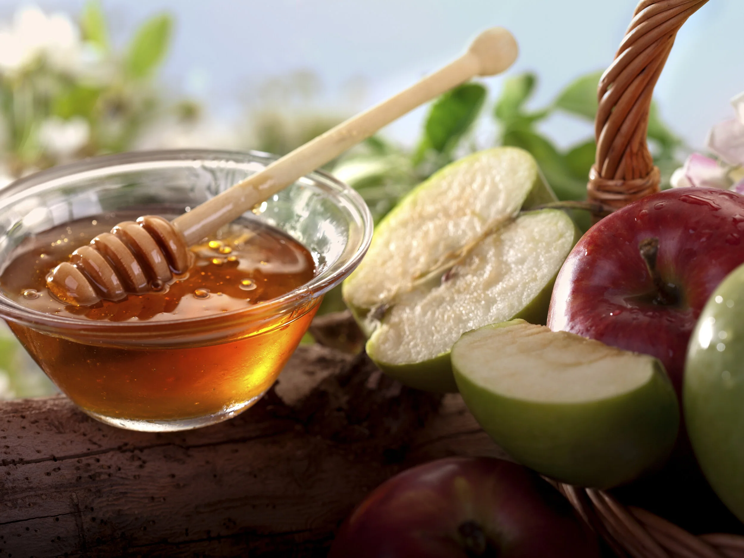 Wiley-apples-and-honey.jpg