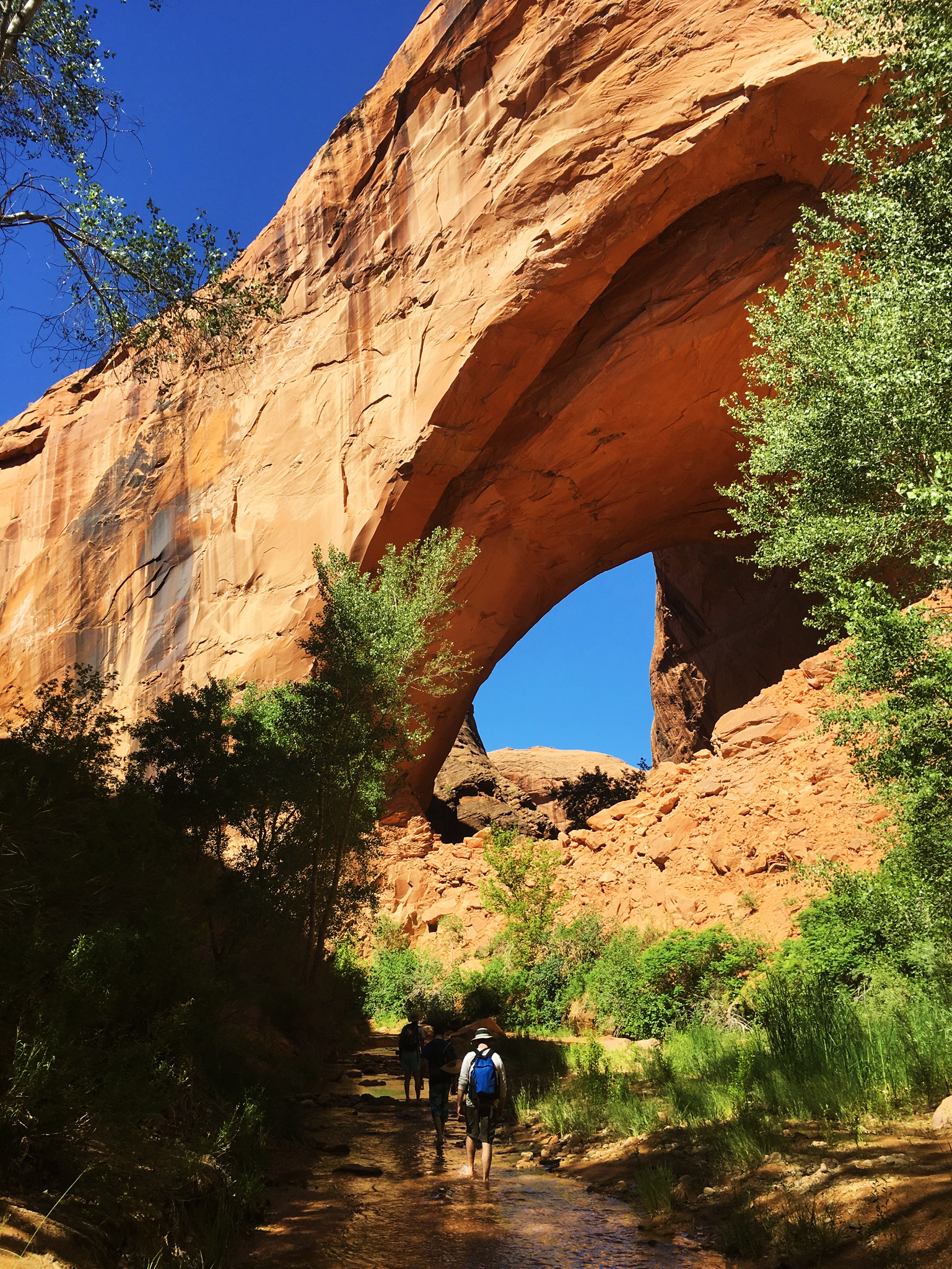 Grand Staircase-Escalante