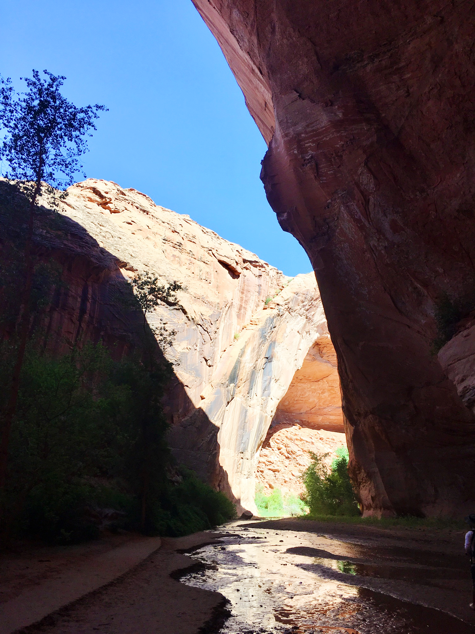 Grand Staircase-Escalante